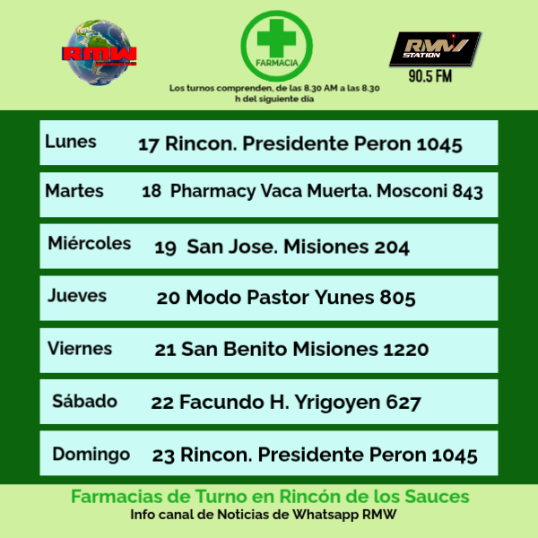 articulo-4