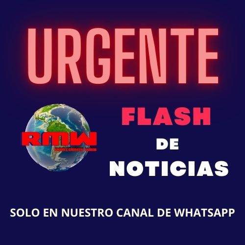 articulo-3